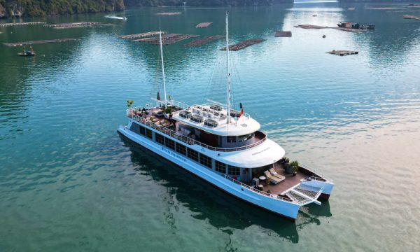 the cat ba catamaran premium day cruise in lan ha bay