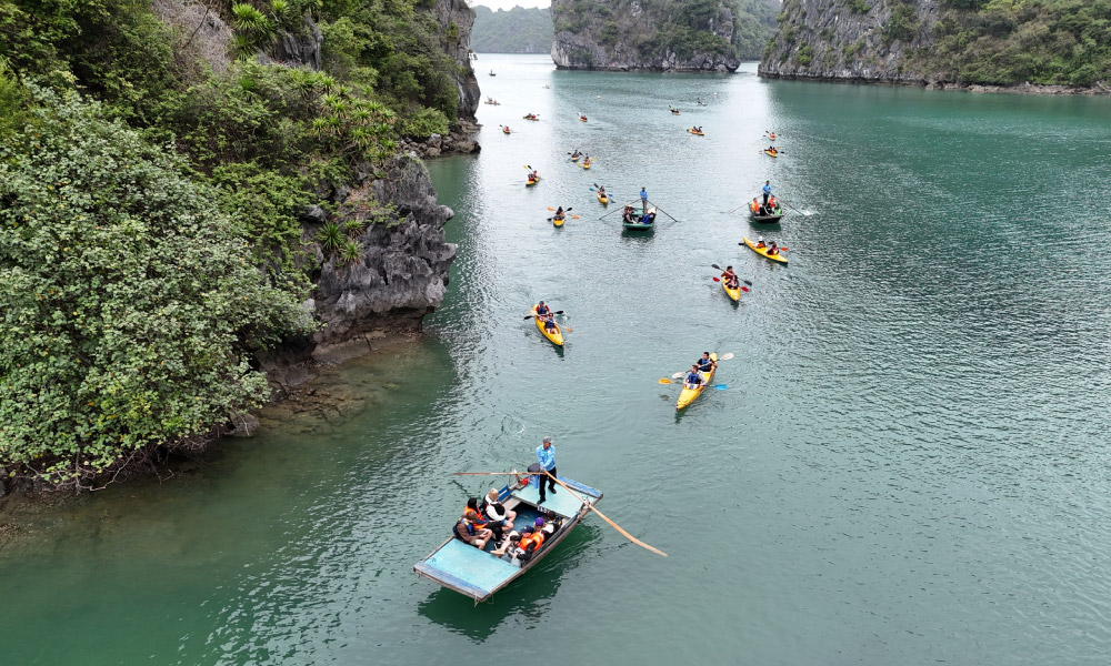 Many kayaks and bamboo boats rowing curving around an island.