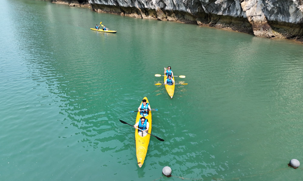 Some yellow kayaks each with two people on it sailing on the blue water.