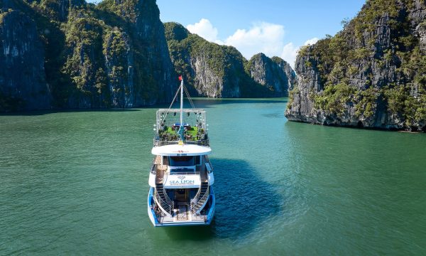 Sea Lion day cruise from the back.