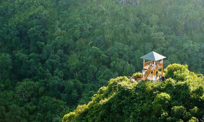 A forest in Cat Ba National park.