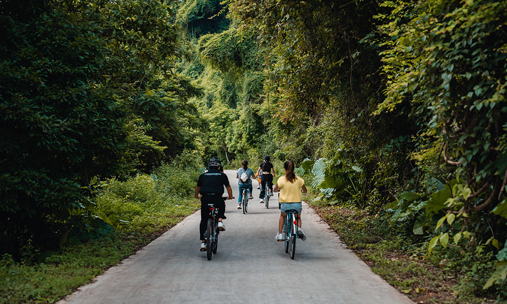 Guests cycling on a road with trees on the two sides in Viet Hai village.