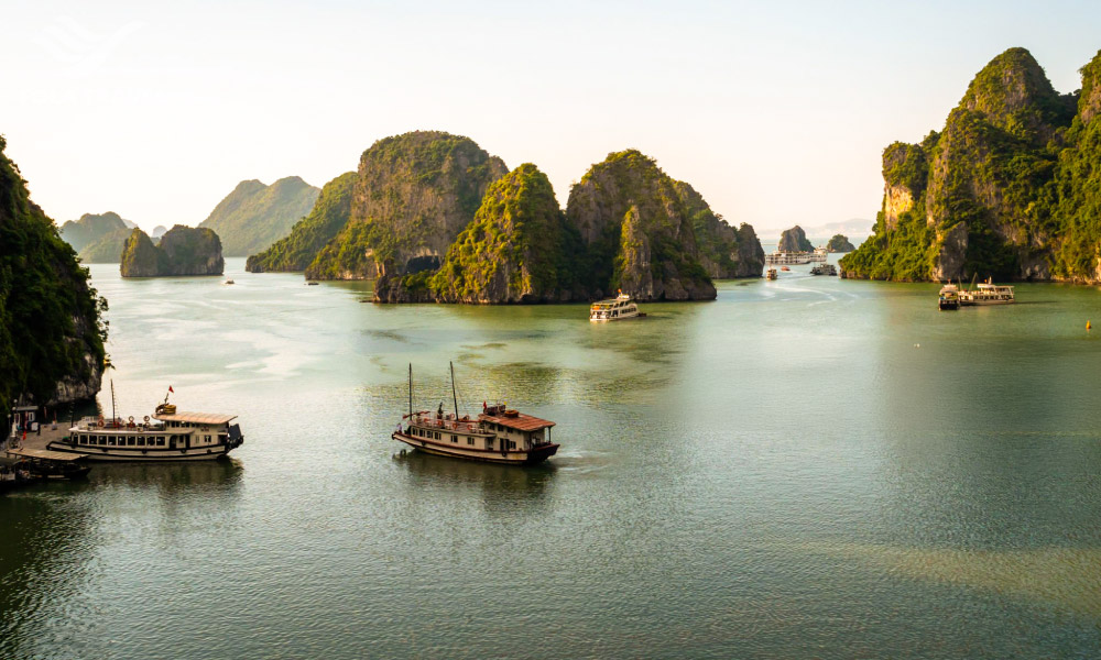 Panorama of Halong Bay on a winter morning with cruises and islands.