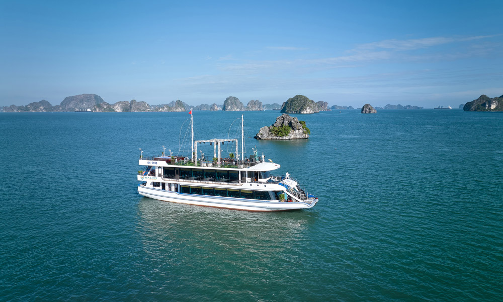 The Sea Lion Cruise sailing in the middle of Halong Bay.