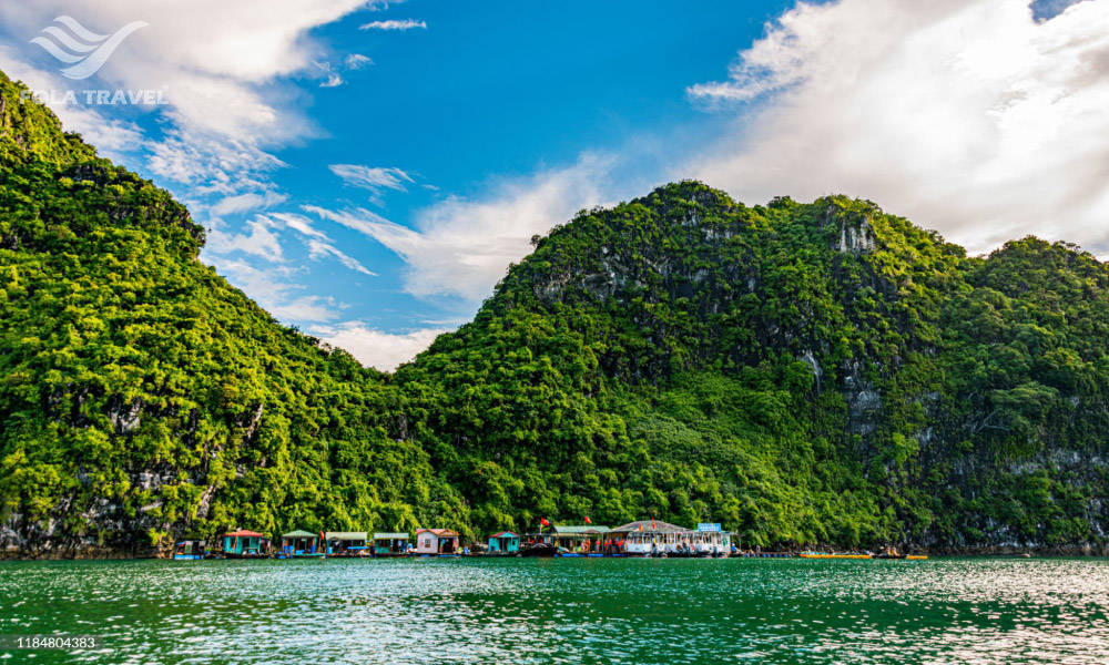 Panorama of halong bay and a row of floating houses.