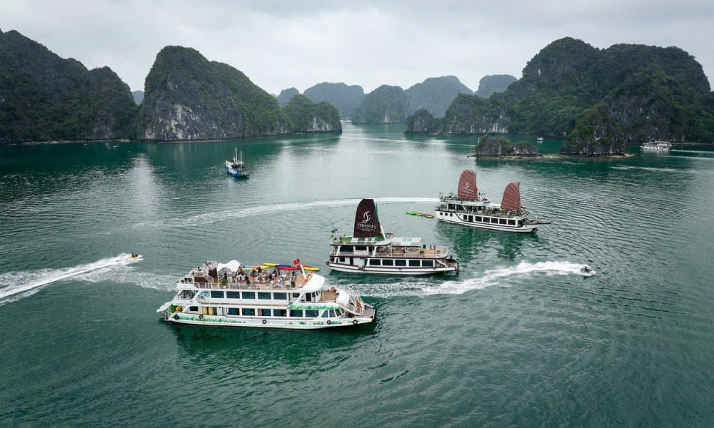 overview of serenity cruises in halong bay