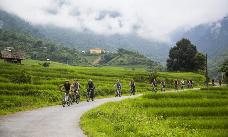 Row of tourists cycling among Sapa rice fields.