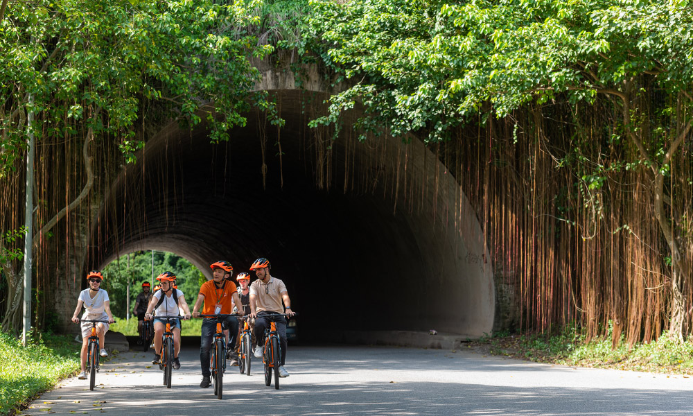 Guests of ninh binh tour riding bikes on the left side going through a big tunnel.