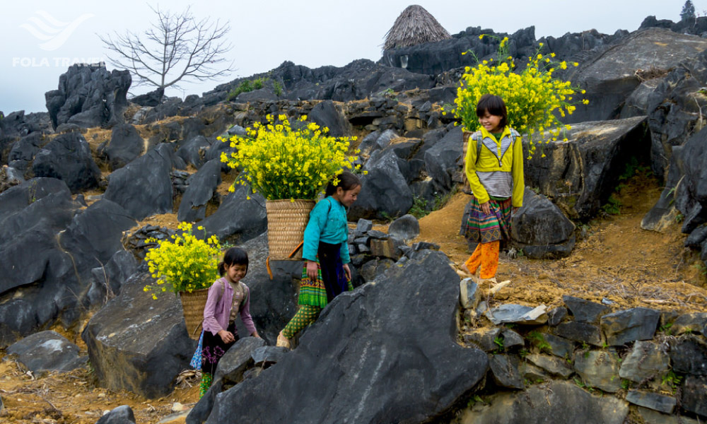 Three girls with some flowers in the middle of Dong Van karst plateau.