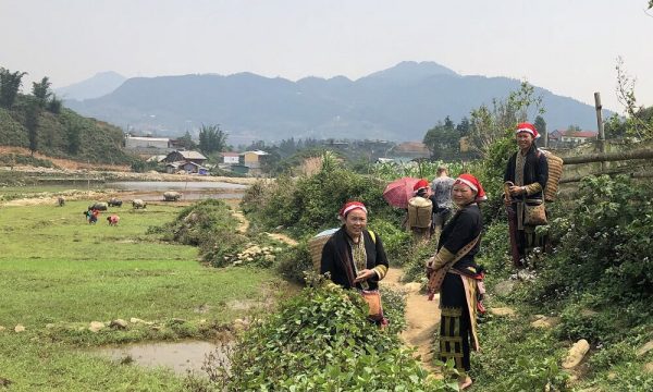 Ethnic women on a field.