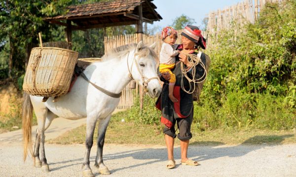 An ethnic woman, a child, and a horse.