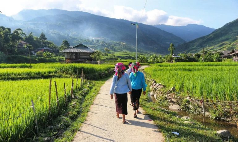 Ethnic woman waking in the middle of green rice field.