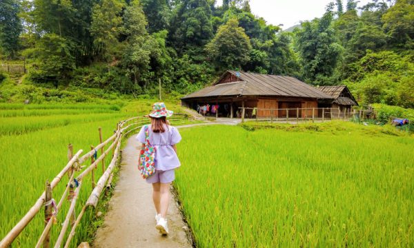 A girl walking towards a house in the middle of Sapa rice fields.