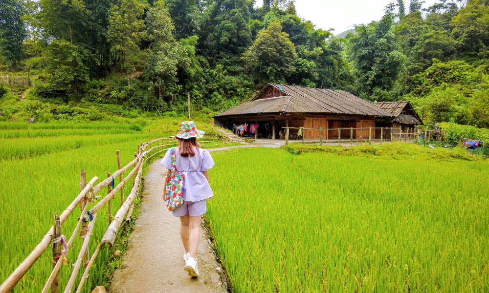 A girl walking towards a house in the middle of Sapa rice fields.