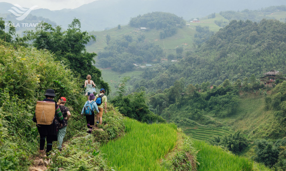 People trekking on the left overlookinh sapa green mountains.