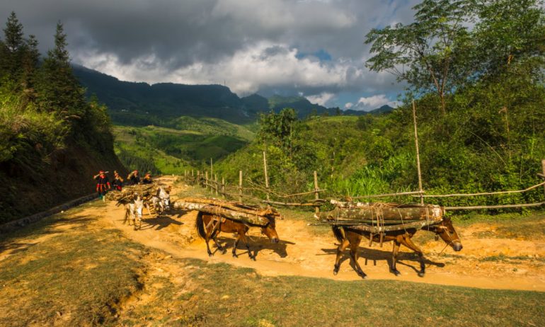 Horses and locals on the trail of Ha Giang.