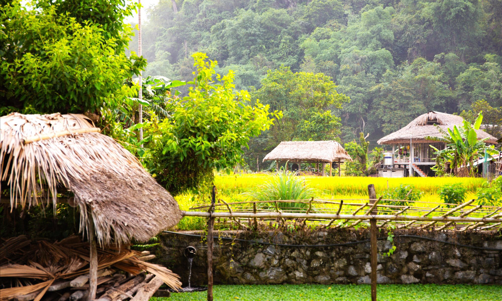 Three houses with old roofs.