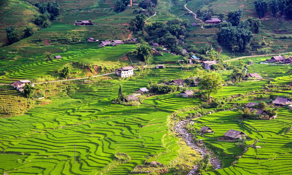 Panorama of houses on Ha Giang rice terraces.