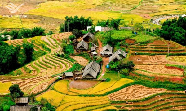 A Sapa village in the middle of the rice from above.