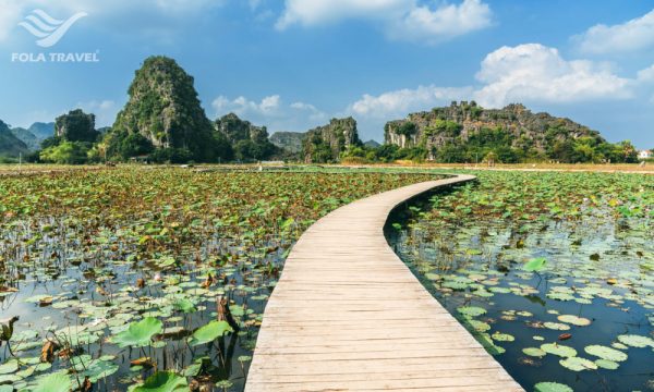 A lotus lake with mountains afar and a wooden trail run to the middle of the lake.