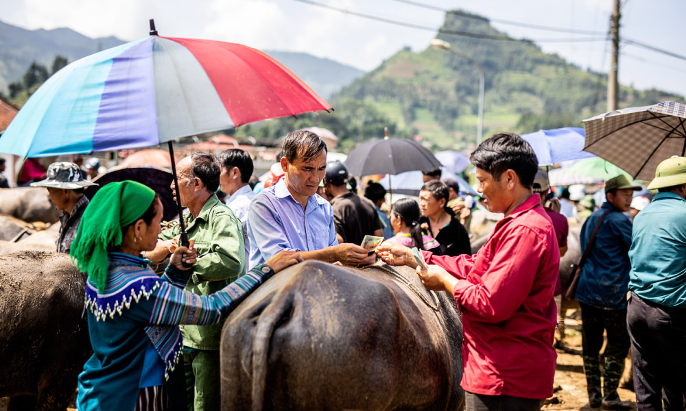 People selling animals in a market.