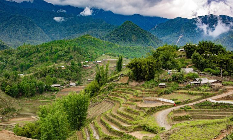 Rice terraces in Sapa during water season.