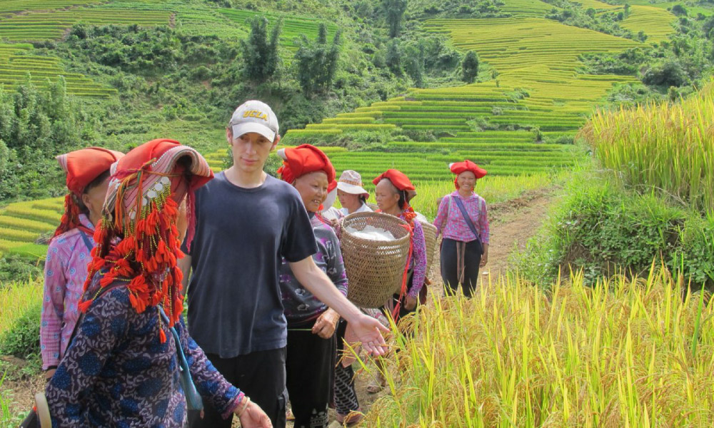 Red Dao woman in the terraces of Sapa.