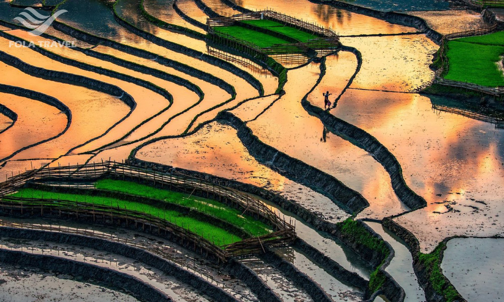 Ha Giang rice terraces during water season under the sun.