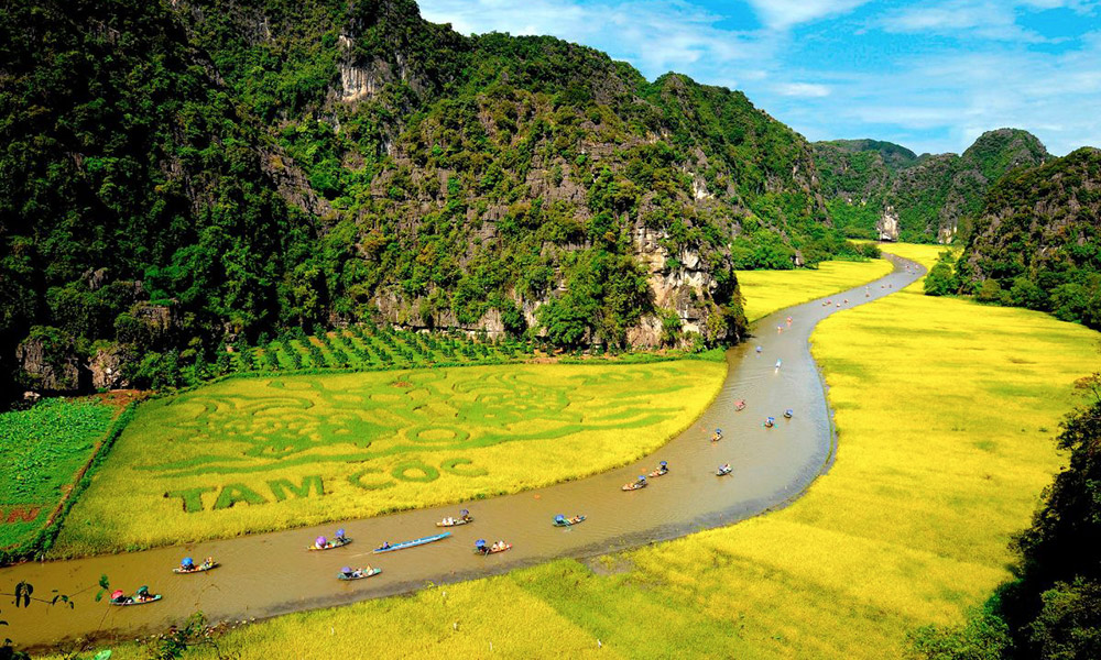 Ngo Dong river among the yellow field in Tam Coc.