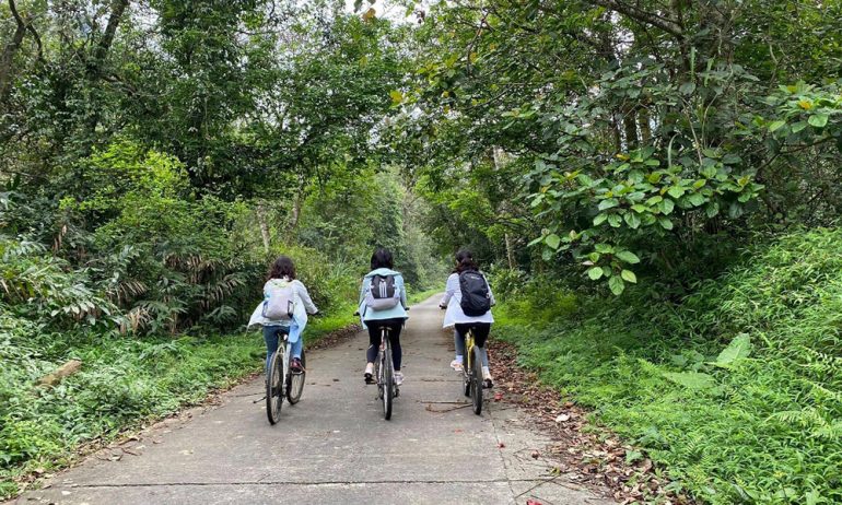 Thre guests cycling in national park.