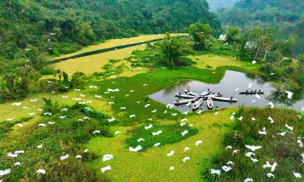 View of Thung Nham river with many birds flying around.