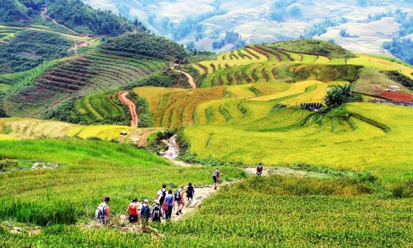 People trekking in the rice fields in Sapa.