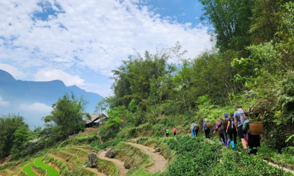 People trekking on top of Sapa rice terraces.