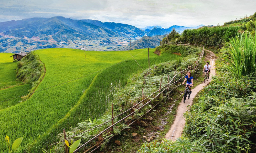 Two people riding bicycle among Sapa nature.