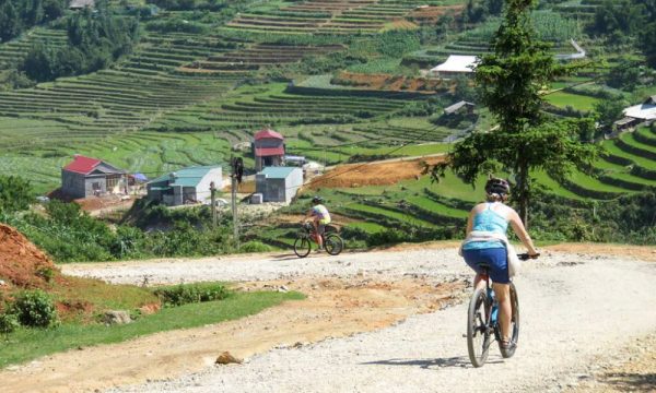 People cycling on a road around Sapa rice fields.