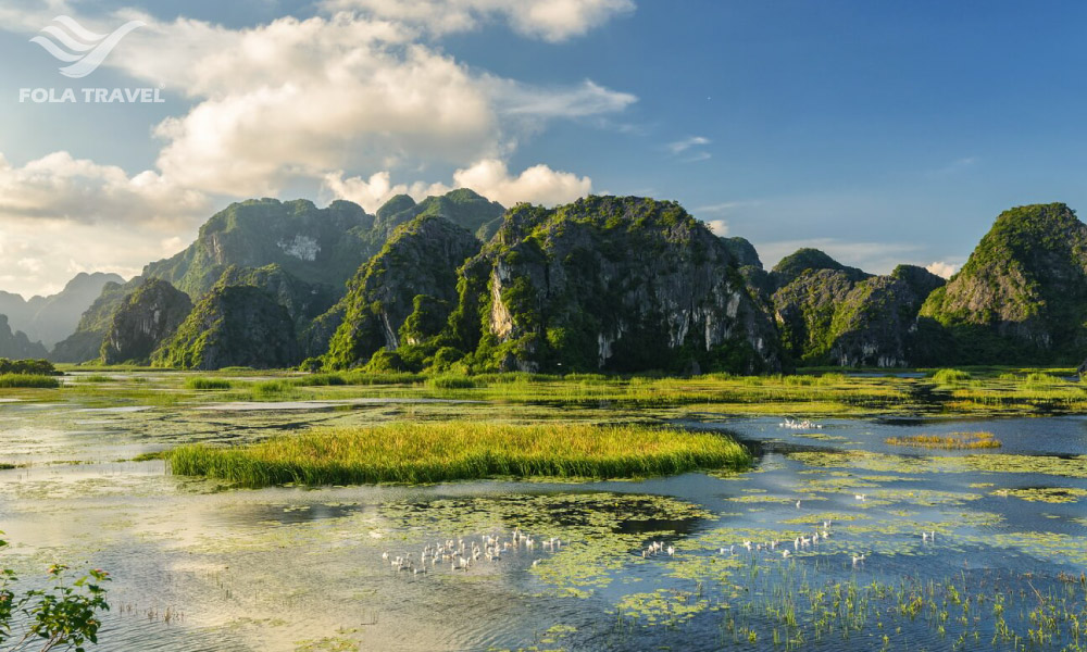 Panoramic view of Van Long lagoon in Ninh Binh with mountains and water rice fields.