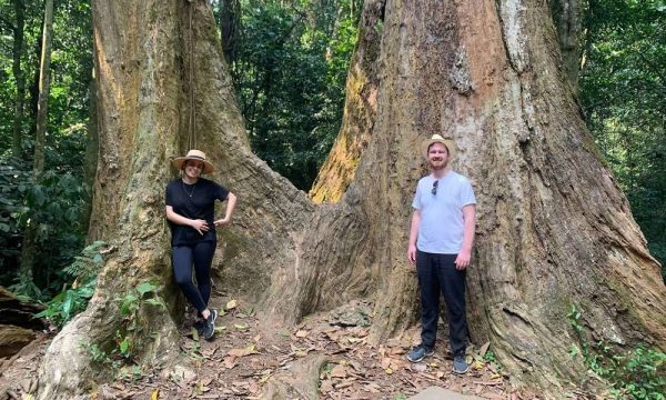 Two people standing at the root of a giant tree.