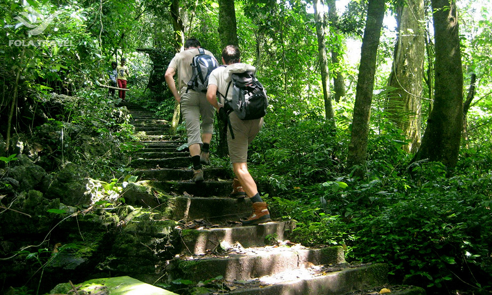 Two people wearing backpacks walking up some steps inside a forest.