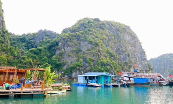 Close up of Cai Beo Fishing Village's houses.