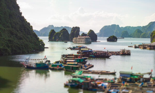 A cruise heading to Cua Van Fishing Village.