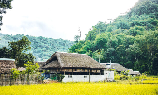 A house in Tha Village.