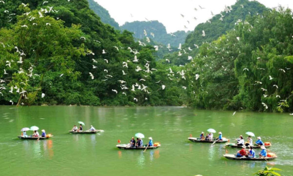Bird Park in Thung Nham Eco-tourism Park.