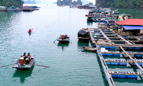 Guests on bamboo boats sailing through houses in Cua Van Fishing Village.