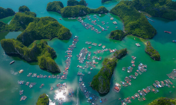 Cai Beo fishing village from above.