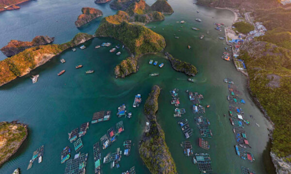 Cai Beo fishing village from above.