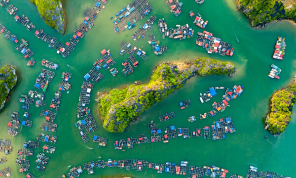 Cat Ba fishing village from above.