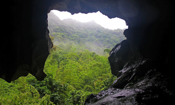 Cat Ba National Park view from Trung Trang Cave.