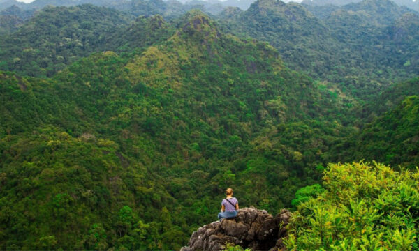 Mountains inside Cat Ba National Park.