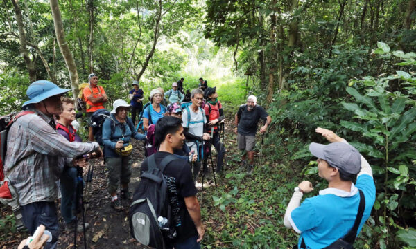 Cat Ba guests listening to a tour guide.