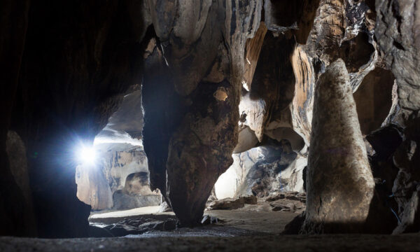 Close up of Trung Trang Cave stalactites.
